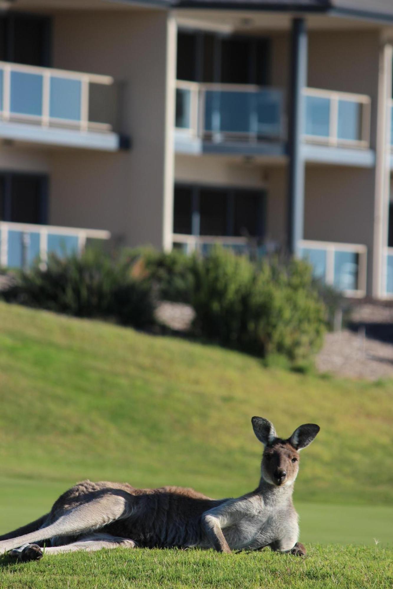 Lady Bay Hotel Normanville Dış mekan fotoğraf