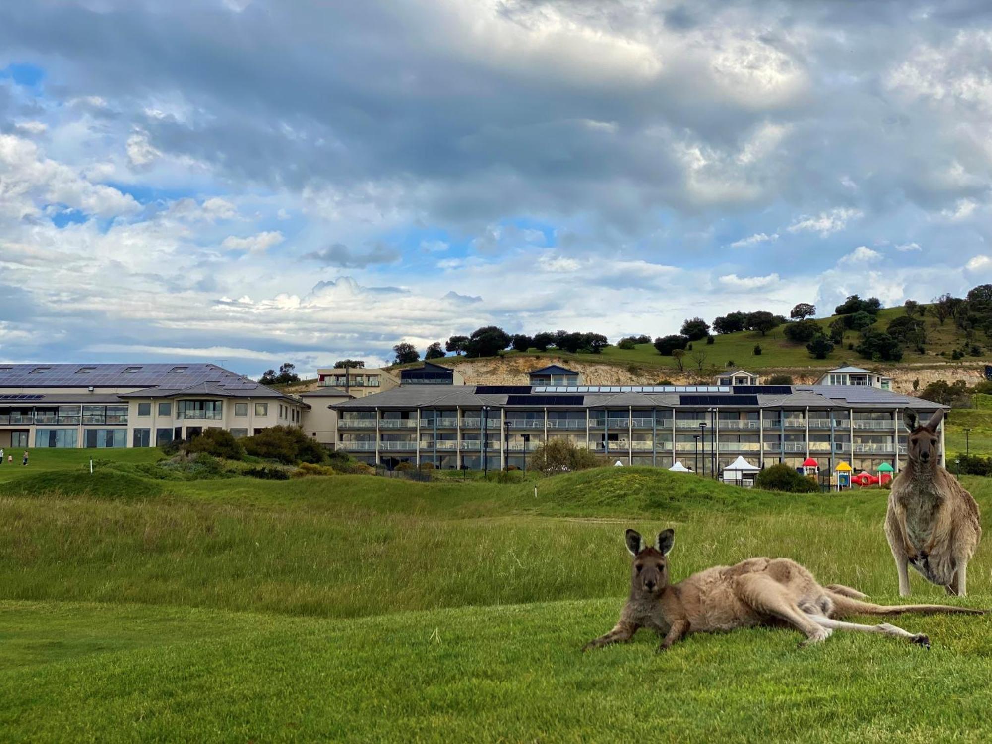 Lady Bay Hotel Normanville Dış mekan fotoğraf
